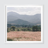 The Citizenry - Oaxaca .02