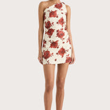 Faithfull - Marga Mini Dress Cecile Floral Garnet - Final Sale