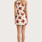 Faithfull - Marga Mini Dress Cecile Floral Garnet - Final Sale