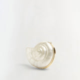 Simkhai - Marion Shell Clutch