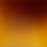 Khaite - x Oliver Peoples 1961C in Dark Mahogany and Brown