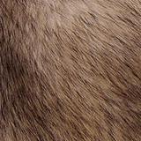 Khaite - Stallone Shearling Jacket in Natural