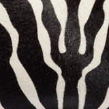 Khaite - Cate Bag in Zebra Haircalf