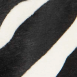 Khaite - Lorel Coat in Zebra Print Haircalf