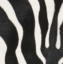 Khaite - Loxley Skirt in Zebra Print Haircalf