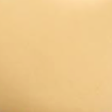 Khaite - Medium Lotus Earrings in Gold