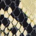 Khaite - Medium Manhattan Belt in Natural Python - Embossed Leather with Silver