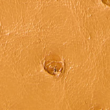 Khaite - Liria Sandal in Chestnut Ostrich