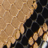 Khaite - Mila Sandal in Taupe Python-Embossed Leather