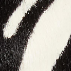 Khaite - Ona Ankle Boot in Zebra Print Haircalf