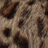 Khaite - Rahm Jacket in Leopard Print Lapin