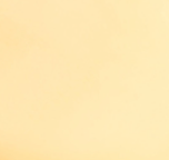 Khaite - Medium Lotus Pendant in Gold