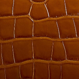 Khaite - Cate Bag in Dark Honey Alligator