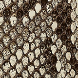 Khaite - Blake Clutch in Natural Python