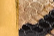 Khaite - Berlin Belt in Python - Embossed Taupe with Antique Gold