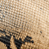 Khaite - Small Lotus Tote in Python - Embossed Taupe and Morning Dove