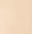 Khaite - Liria Ankle Strap Flat Sandal in Nude Glazed Leather