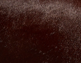 Khaite - Audrey Clutch in Rouge Noir Haircalf
