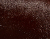 Khaite - Audrey Clutch in Rouge Noir Haircalf