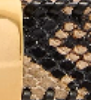 Khaite - Benny Belt with Whipstitch in Python - Embossed Taupe and Gold