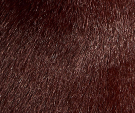 Khaite - Colt Low Mule in Rouge Noir Haircalf