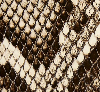 Khaite - Theo Waist Belt in Natural Python