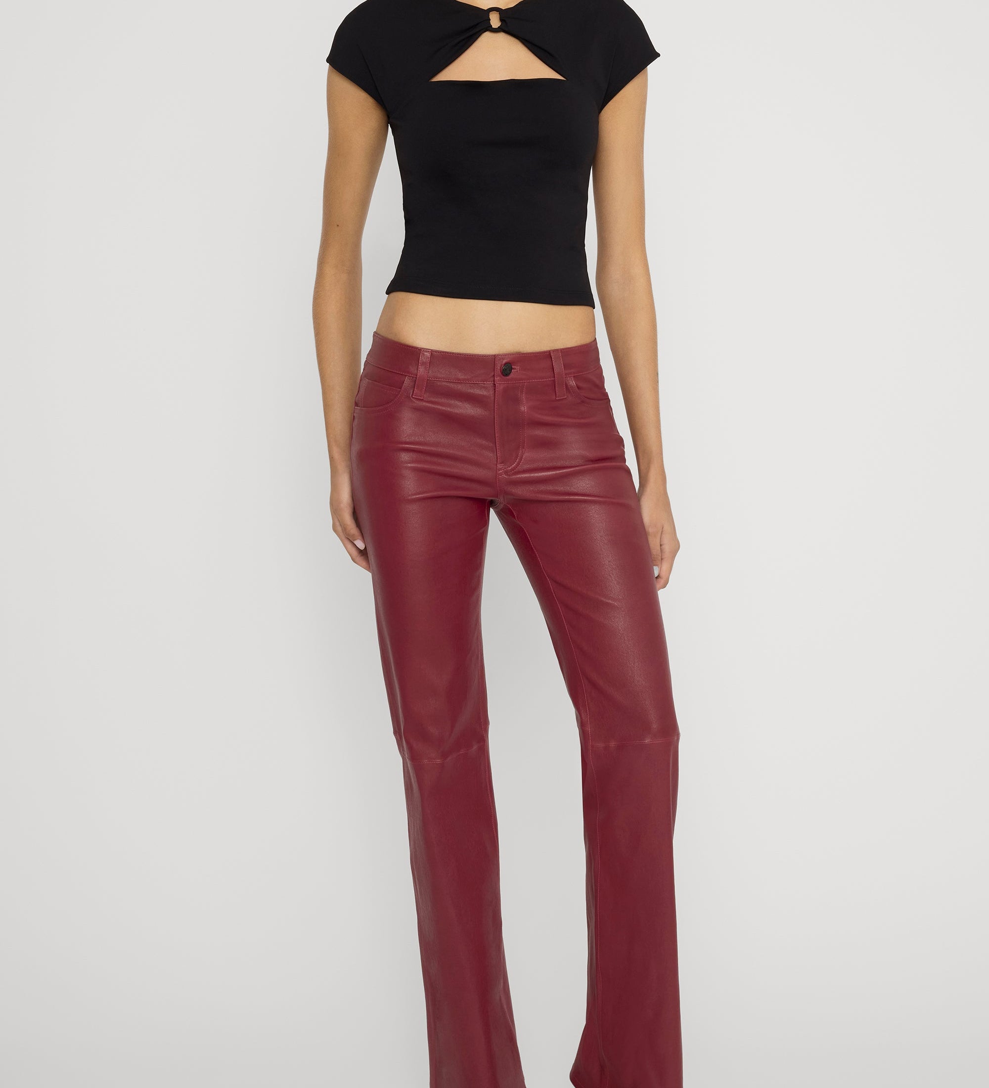 FRAME - The Leather Rouge