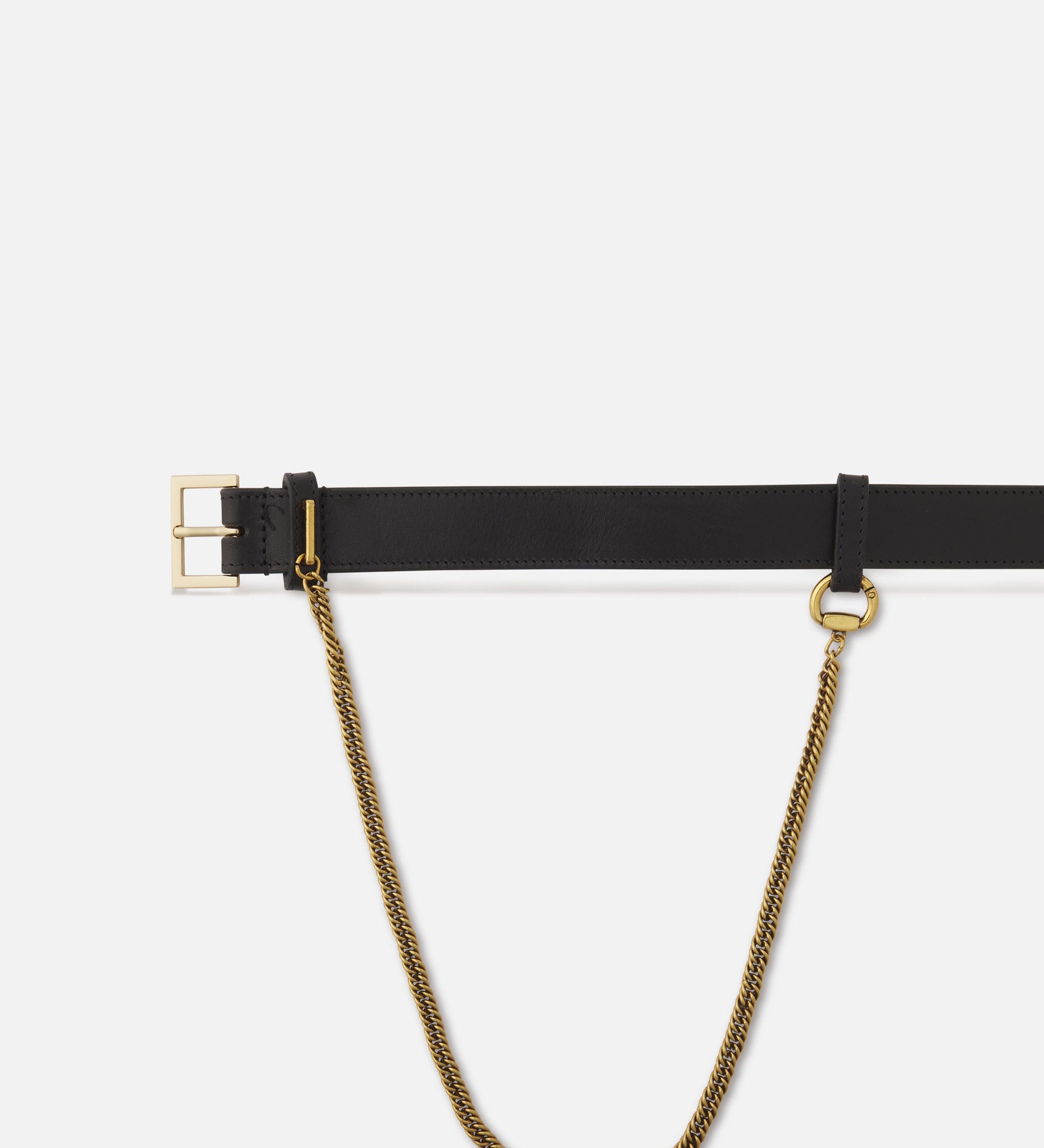 FRAME - The Gilded Strand Belt