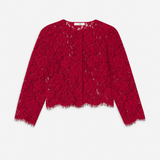 FRAME - The Lace Blouse