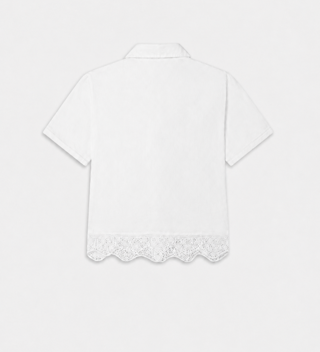 FRAME - The Embroidered Seaside Shirt