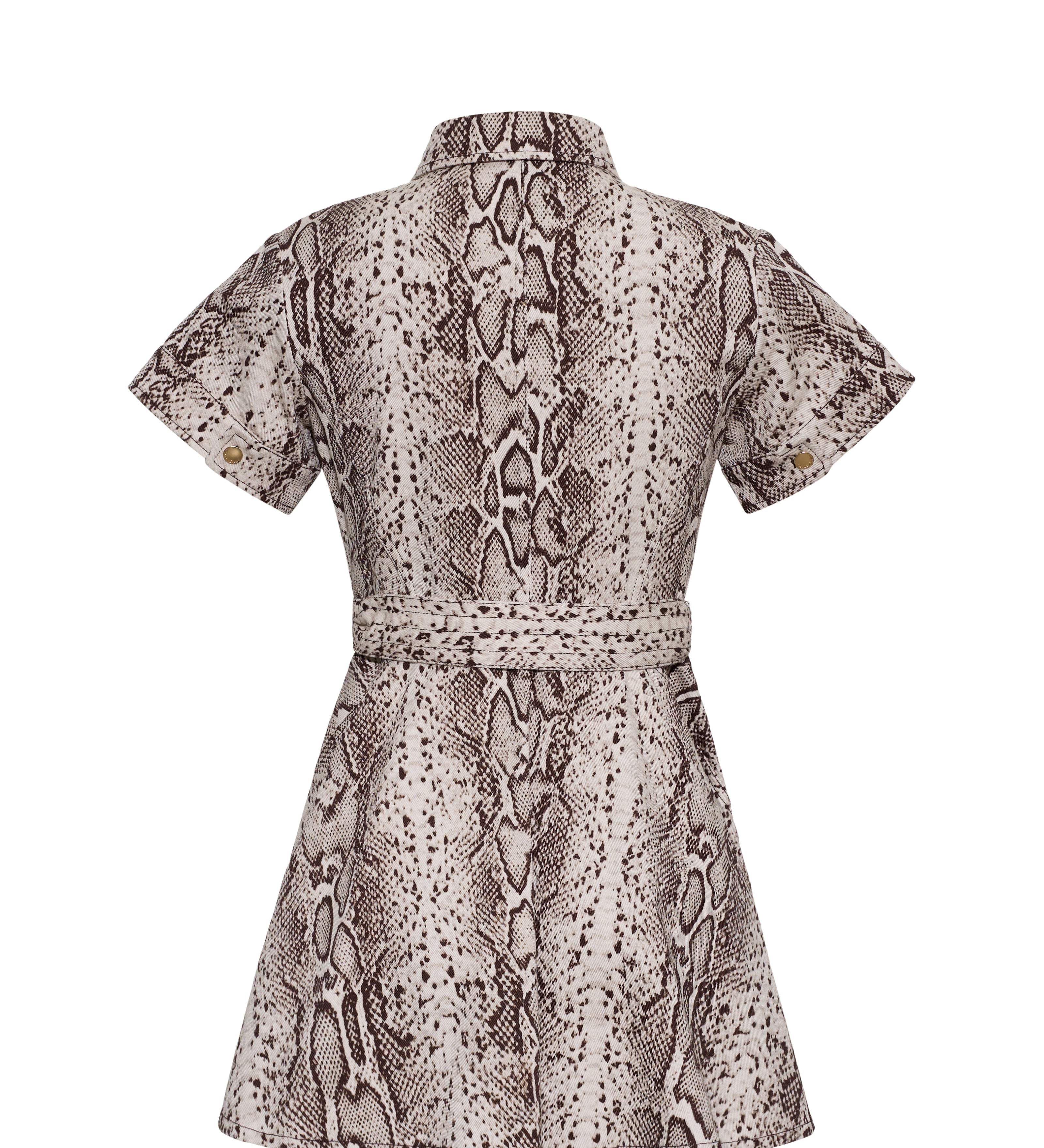 Cara Cara - Walter Dress