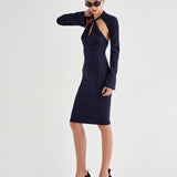 Aflalo - Lebella Dress in Silk