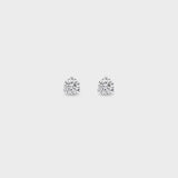 Aflalo - Easy Stud Earrings in White Gold