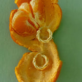Kinn - Taylor Twist Petite Hoops