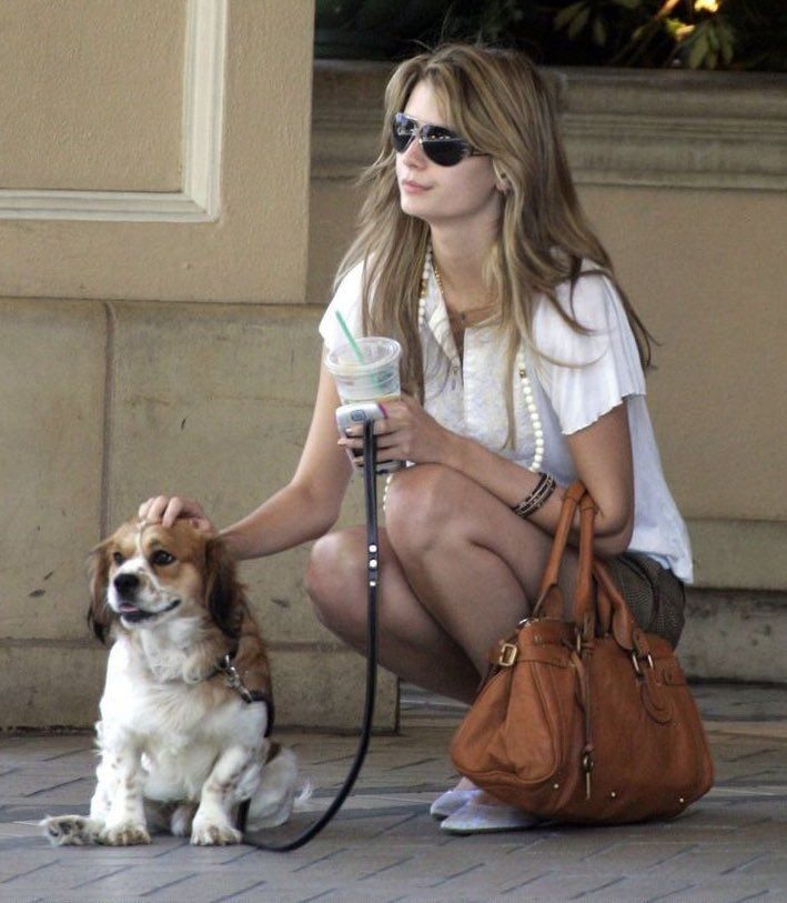 Woman with sunglasses and a dog, holding a cup and camera, with a brown handbag.